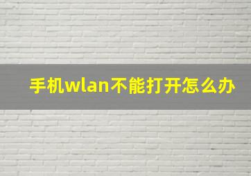 手机wlan不能打开怎么办