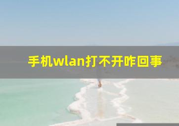 手机wlan打不开咋回事