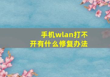 手机wlan打不开有什么修复办法