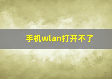 手机wlan打开不了