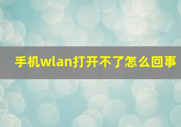 手机wlan打开不了怎么回事