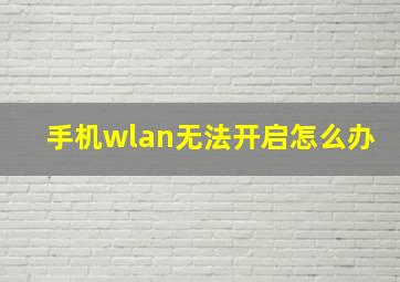 手机wlan无法开启怎么办