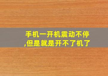 手机一开机震动不停,但是就是开不了机了