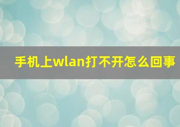 手机上wlan打不开怎么回事