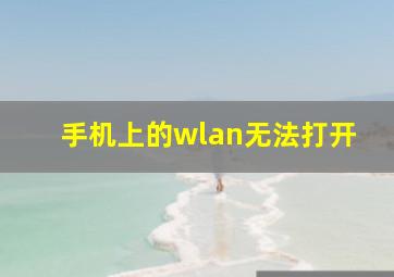 手机上的wlan无法打开