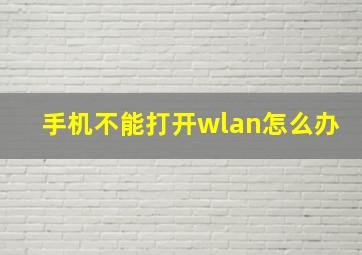 手机不能打开wlan怎么办