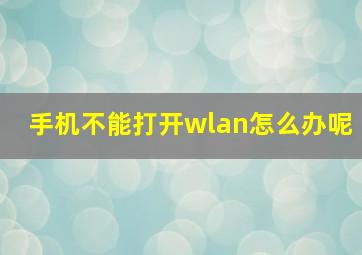 手机不能打开wlan怎么办呢