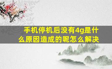 手机停机后没有4g是什么原因造成的呢怎么解决