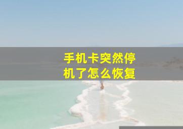 手机卡突然停机了怎么恢复