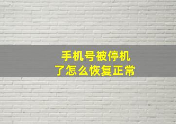 手机号被停机了怎么恢复正常