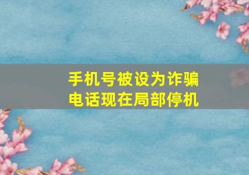 手机号被设为诈骗电话现在局部停机