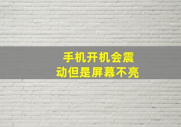 手机开机会震动但是屏幕不亮