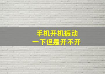 手机开机振动一下但是开不开