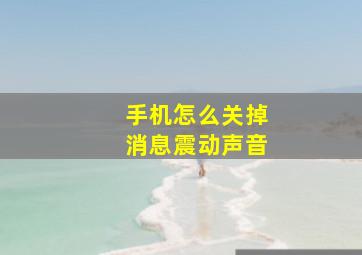 手机怎么关掉消息震动声音