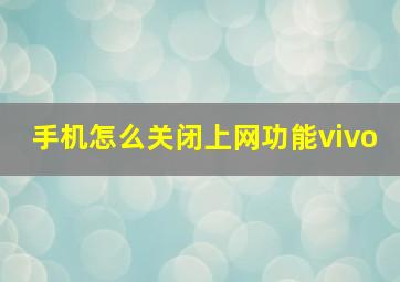 手机怎么关闭上网功能vivo