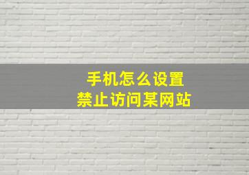 手机怎么设置禁止访问某网站