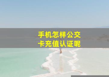 手机怎样公交卡充值认证呢