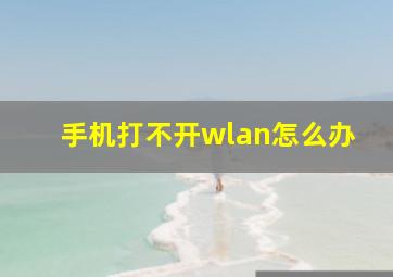 手机打不开wlan怎么办