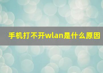 手机打不开wlan是什么原因