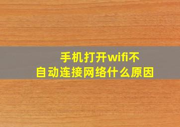 手机打开wifi不自动连接网络什么原因