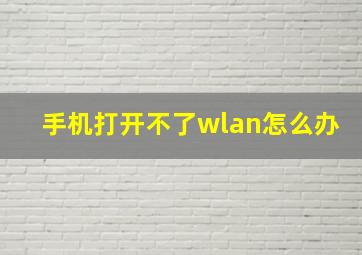 手机打开不了wlan怎么办