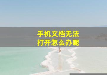 手机文档无法打开怎么办呢