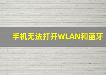 手机无法打开WLAN和蓝牙