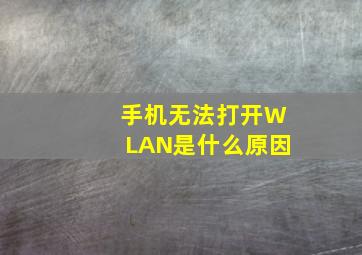 手机无法打开WLAN是什么原因