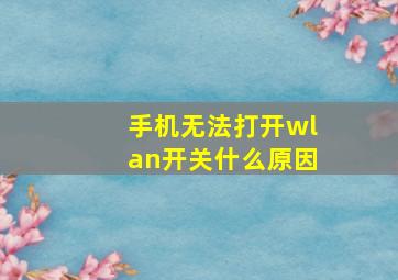 手机无法打开wlan开关什么原因