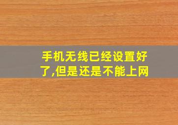 手机无线已经设置好了,但是还是不能上网