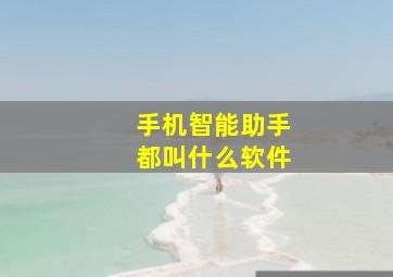 手机智能助手都叫什么软件