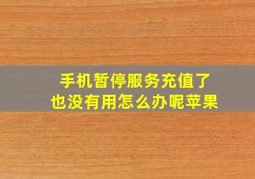 手机暂停服务充值了也没有用怎么办呢苹果