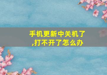 手机更新中关机了,打不开了怎么办