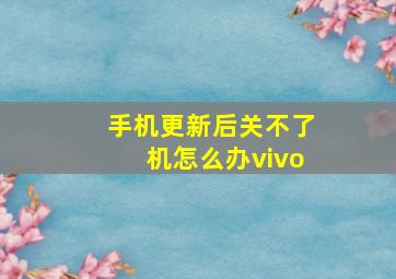 手机更新后关不了机怎么办vivo