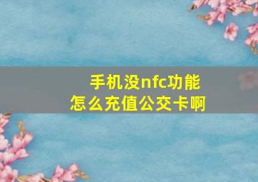 手机没nfc功能怎么充值公交卡啊