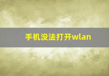 手机没法打开wlan