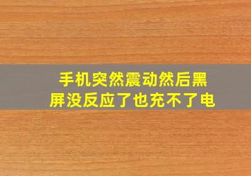 手机突然震动然后黑屏没反应了也充不了电