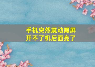 手机突然震动黑屏开不了机后面亮了