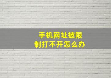 手机网址被限制打不开怎么办