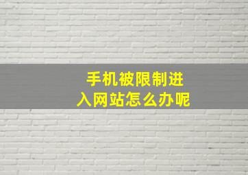 手机被限制进入网站怎么办呢