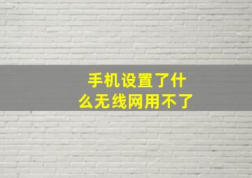 手机设置了什么无线网用不了