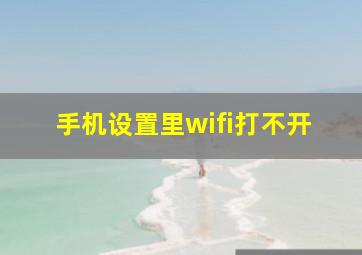 手机设置里wifi打不开