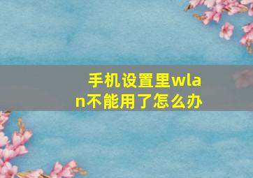 手机设置里wlan不能用了怎么办