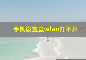 手机设置里wlan打不开