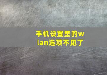 手机设置里的wlan选项不见了