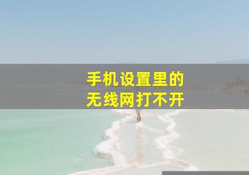 手机设置里的无线网打不开