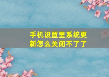 手机设置里系统更新怎么关闭不了了