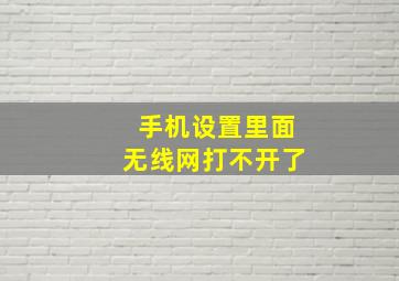 手机设置里面无线网打不开了