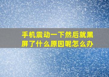 手机震动一下然后就黑屏了什么原因呢怎么办