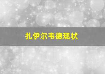 扎伊尔韦德现状